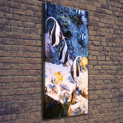 Stampa quadro su tela verticale Barriera corallina
