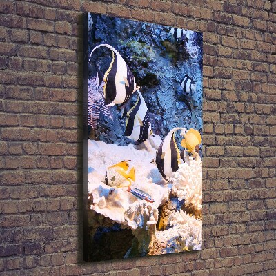 Stampa quadro su tela verticale Barriera corallina