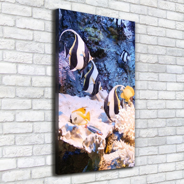 Stampa quadro su tela verticale Barriera corallina