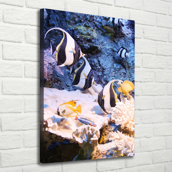 Stampa quadro su tela verticale Barriera corallina