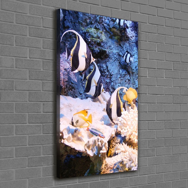 Stampa quadro su tela verticale Barriera corallina