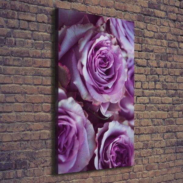 Stampa quadro su tela verticale Rose viola