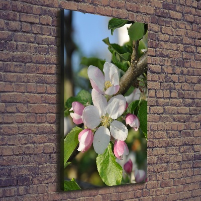 Quadro su tela canvas verticale Fiori di ciliegio