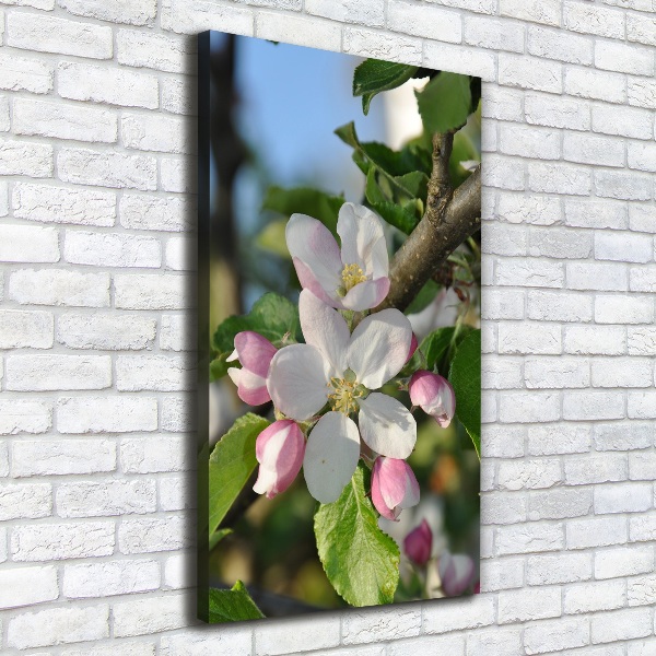 Quadro su tela canvas verticale Fiori di ciliegio