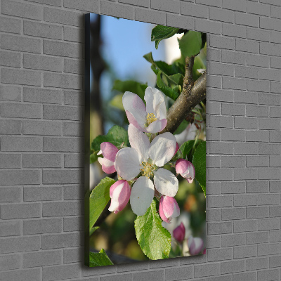 Quadro su tela canvas verticale Fiori di ciliegio