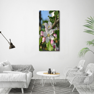 Quadro su tela canvas verticale Fiori di ciliegio