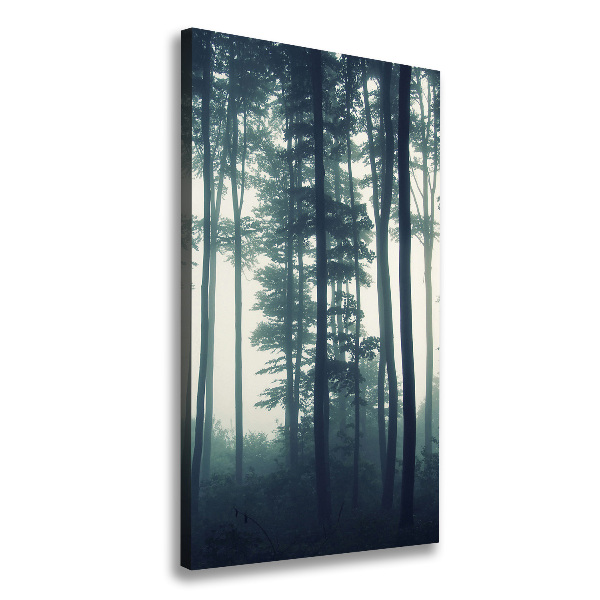 Quadro foto su tela verticale Nebbia nella foresta