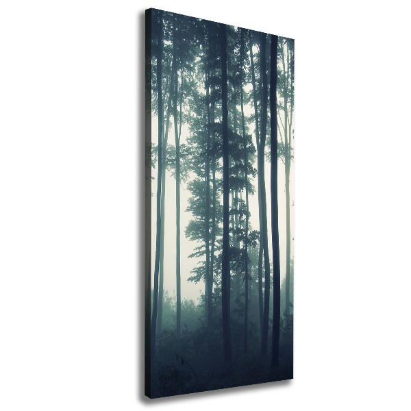 Quadro foto su tela verticale Nebbia nella foresta