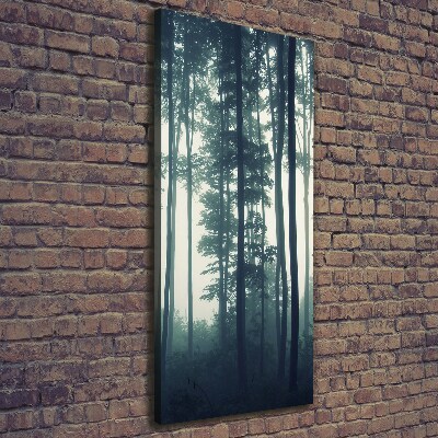 Quadro foto su tela verticale Nebbia nella foresta