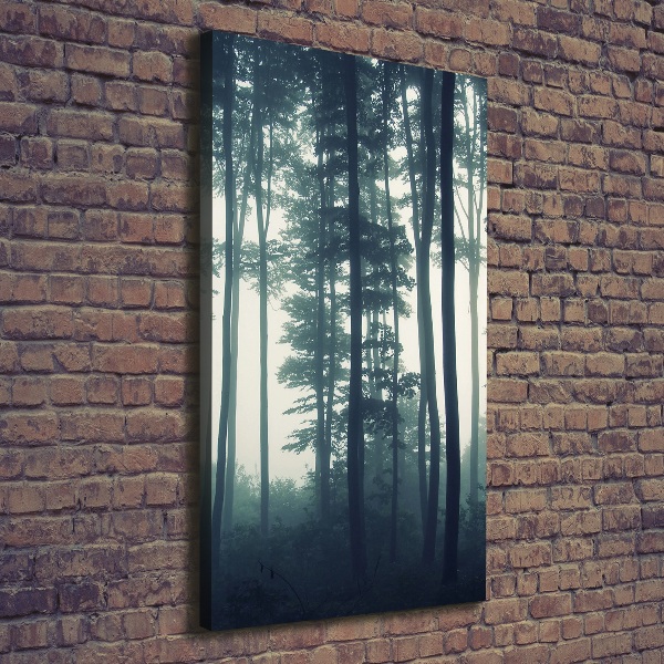 Quadro foto su tela verticale Nebbia nella foresta