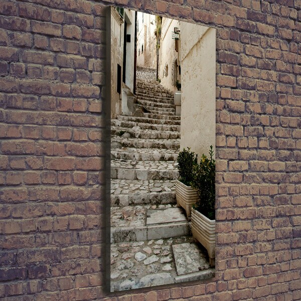 Stampa quadro su tela verticale Una strada affascinante