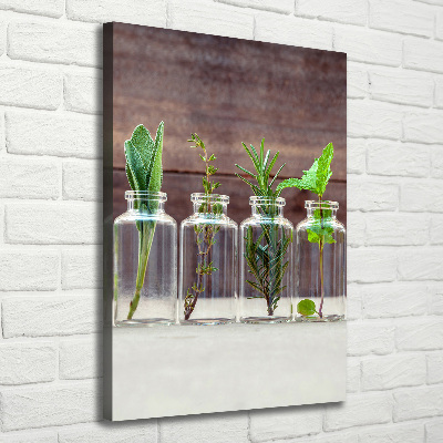 Quadro foto su tela verticale Erbe aromatiche in barattolo