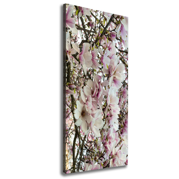 Quadro su tela canvas verticale Fiori di magnolia