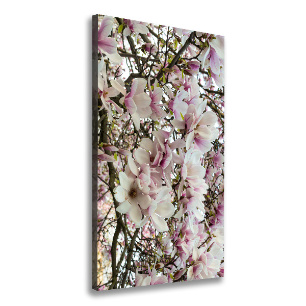 Quadro su tela canvas verticale Fiori di magnolia