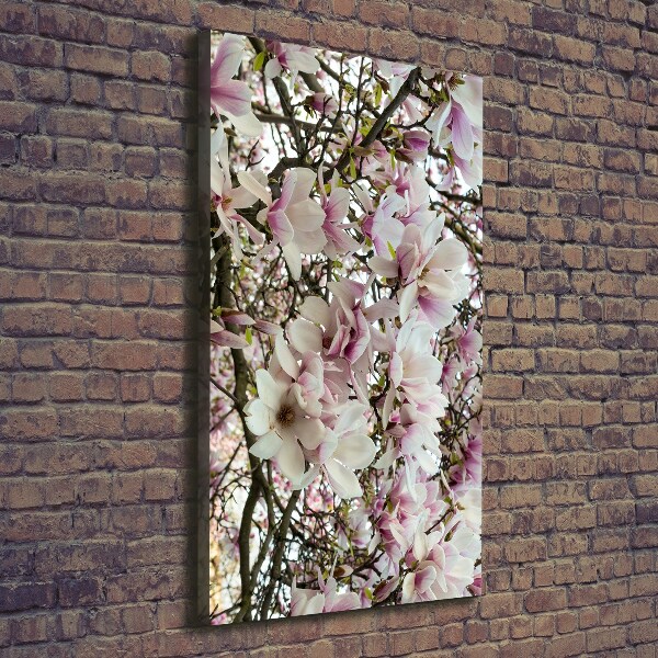 Quadro su tela canvas verticale Fiori di magnolia