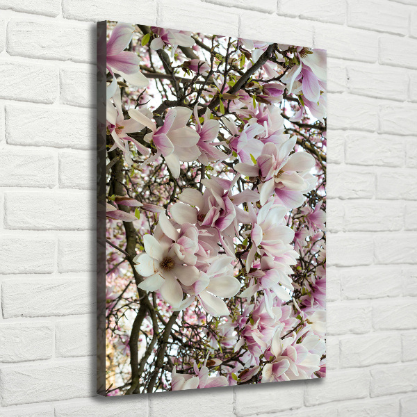 Quadro su tela canvas verticale Fiori di magnolia