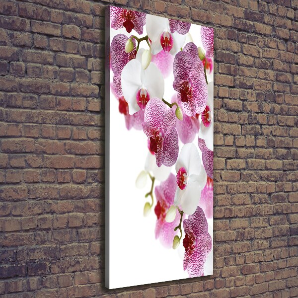 Quadro foto su tela verticale Orchidea