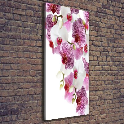 Quadro foto su tela verticale Orchidea