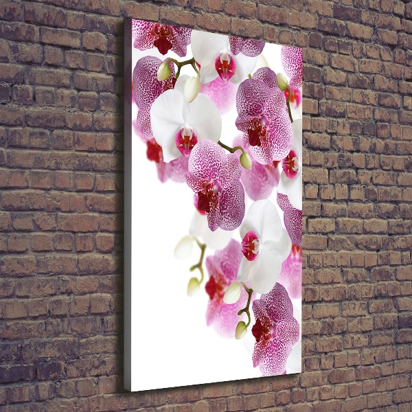 Quadro foto su tela verticale Orchidea