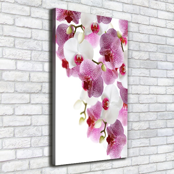 Quadro foto su tela verticale Orchidea