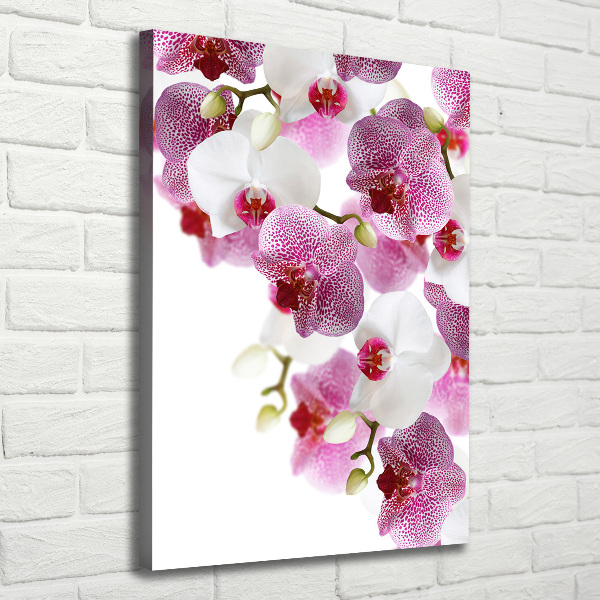 Quadro foto su tela verticale Orchidea
