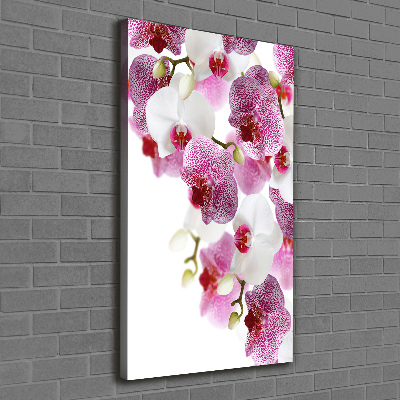 Quadro foto su tela verticale Orchidea