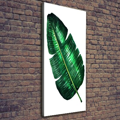 Quadro su tela canvas verticale Foglia di banana