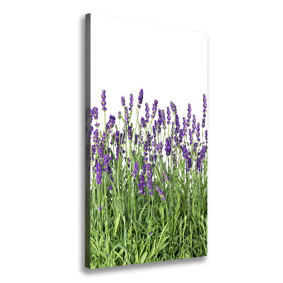 Quadro su tela canvas verticale Campo di lavanda