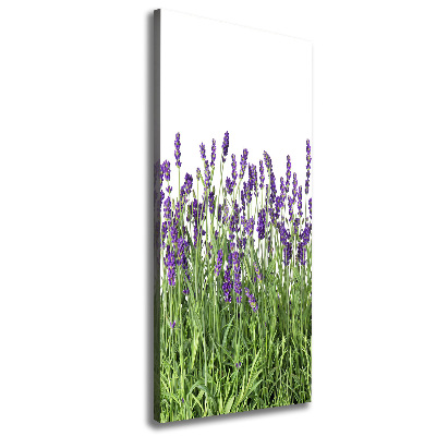Quadro su tela canvas verticale Campo di lavanda