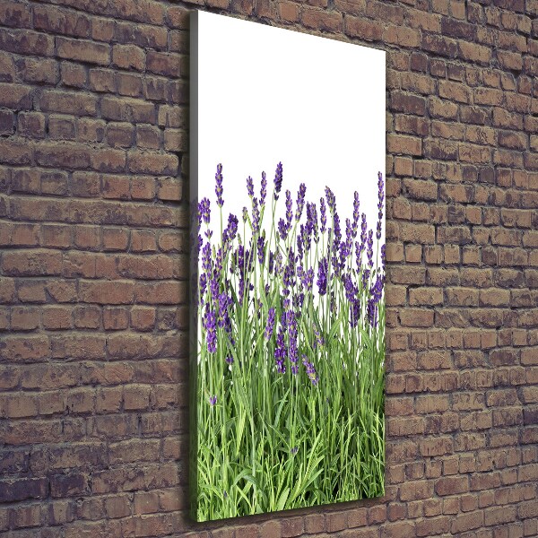 Quadro su tela canvas verticale Campo di lavanda