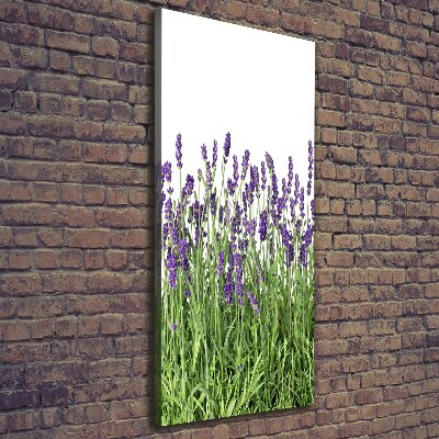Quadro su tela canvas verticale Campo di lavanda
