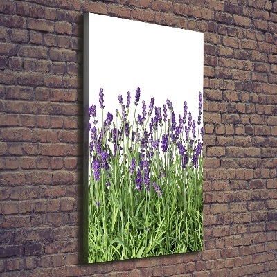 Quadro su tela canvas verticale Campo di lavanda