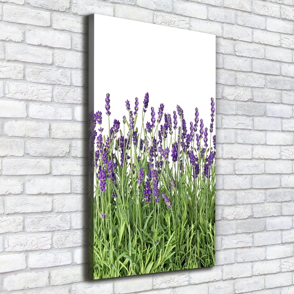 Quadro su tela canvas verticale Campo di lavanda