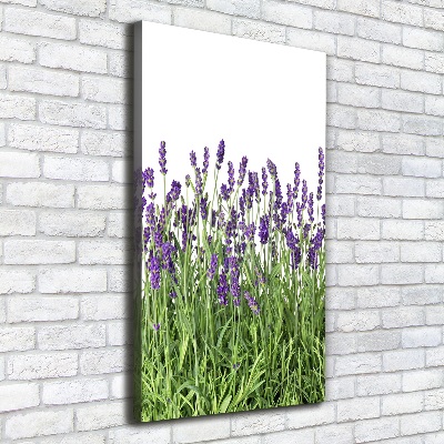 Quadro su tela canvas verticale Campo di lavanda