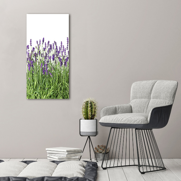 Quadro su tela canvas verticale Campo di lavanda