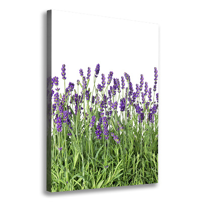 Quadro su tela canvas verticale Campo di lavanda