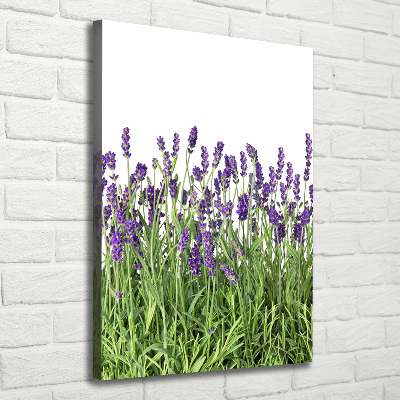 Quadro su tela canvas verticale Campo di lavanda