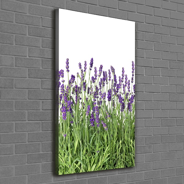Quadro su tela canvas verticale Campo di lavanda