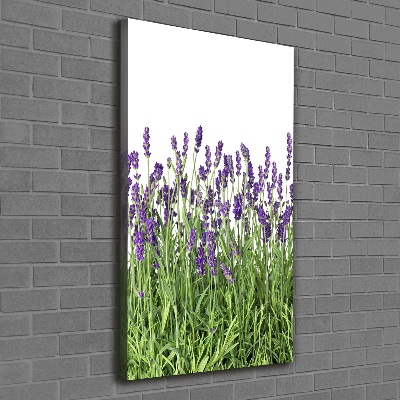 Quadro su tela canvas verticale Campo di lavanda