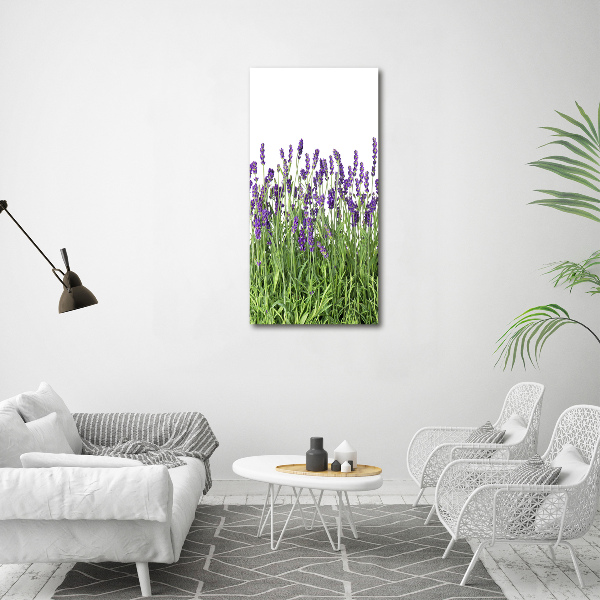 Quadro su tela canvas verticale Campo di lavanda