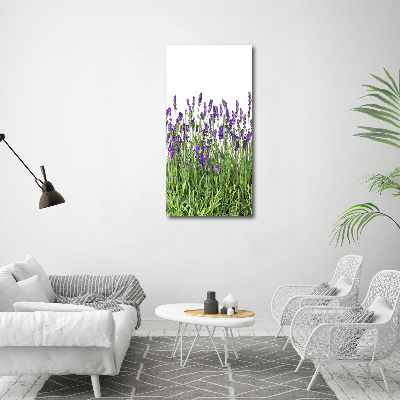 Quadro su tela canvas verticale Campo di lavanda