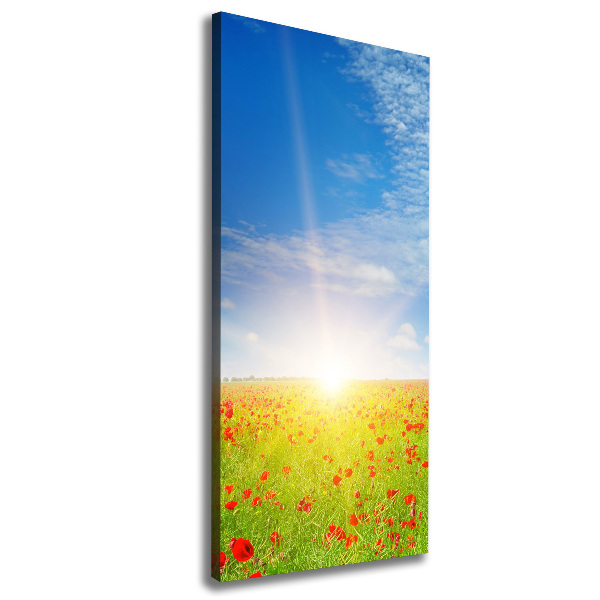 Stampa quadro su tela verticale Campo di papaveri