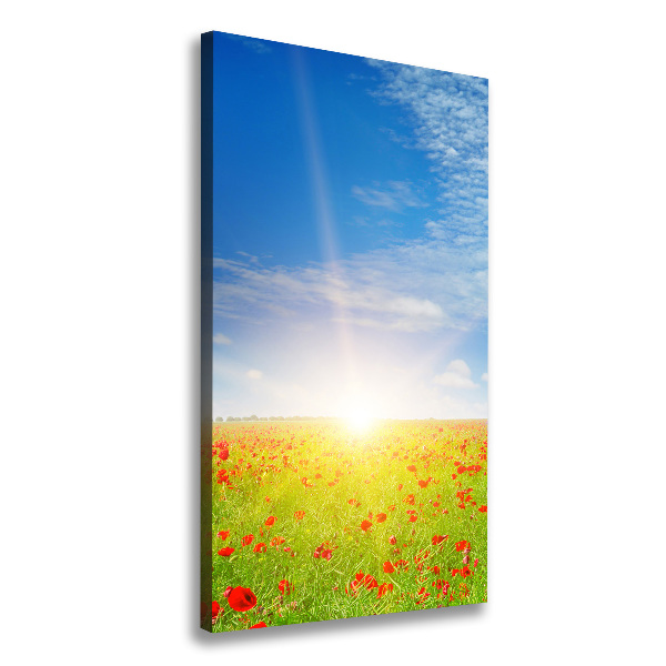 Stampa quadro su tela verticale Campo di papaveri