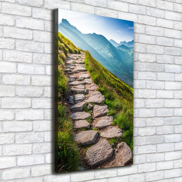 Quadro su tela canvas verticale Sentiero di montagna