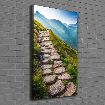 Quadro su tela canvas verticale Sentiero di montagna