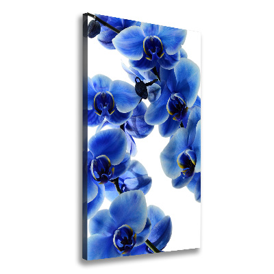 Quadro foto su tela verticale Orchidea blu