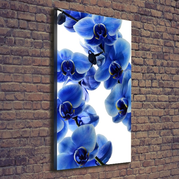 Quadro foto su tela verticale Orchidea blu