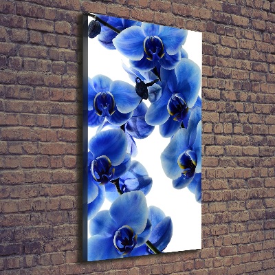 Quadro foto su tela verticale Orchidea blu