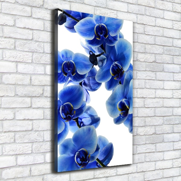 Quadro foto su tela verticale Orchidea blu