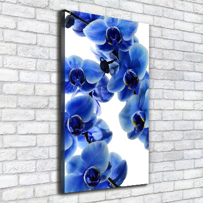 Quadro foto su tela verticale Orchidea blu